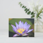 Water Lilly Postkarte (Stehend Vorderseite)
