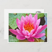 Water Lily ポストカード Postkarte (Vorne/Hinten)