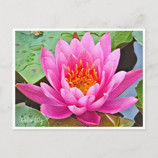 Water Lily ポストカード Postkarte (Vorderseite)