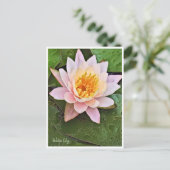 Water Lily ポストカード Postkarte (Stehend Vorderseite)