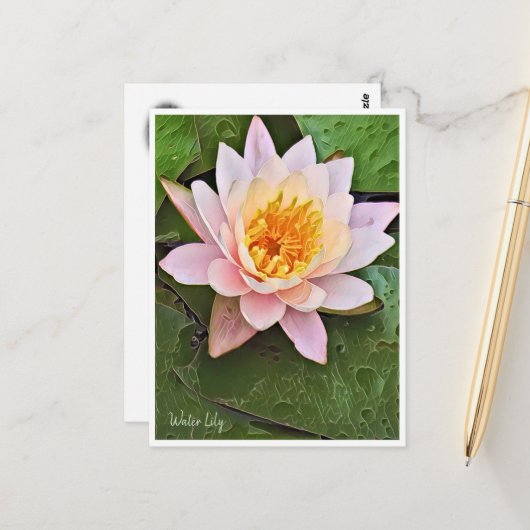 Water Lily ポストカード Postkarte (Vorderseite/Rückseite Beispiel)