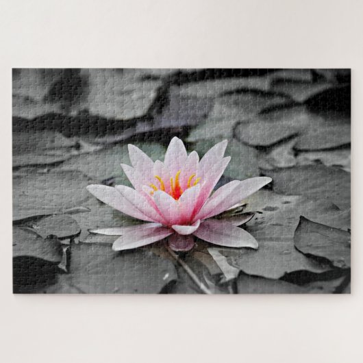 Water Lily Aquatic Pflanze Puzzle (Horizontal)
