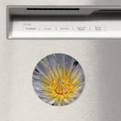 Water Lily Blue und Gold Magnet (In Situ (Geschirrspüler))