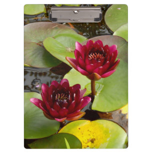 Water Lily Clipboard Klemmbrett
