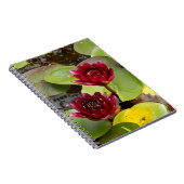 Water Lily Foto Notebook Notizblock (Rechte Seite)