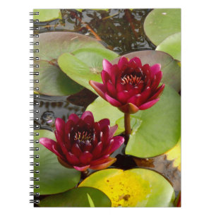 Water Lily Foto Notebook Notizblock
