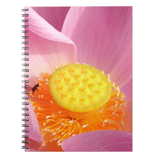 Water Lily Foto Notebook Notizblock (Vorderseite)