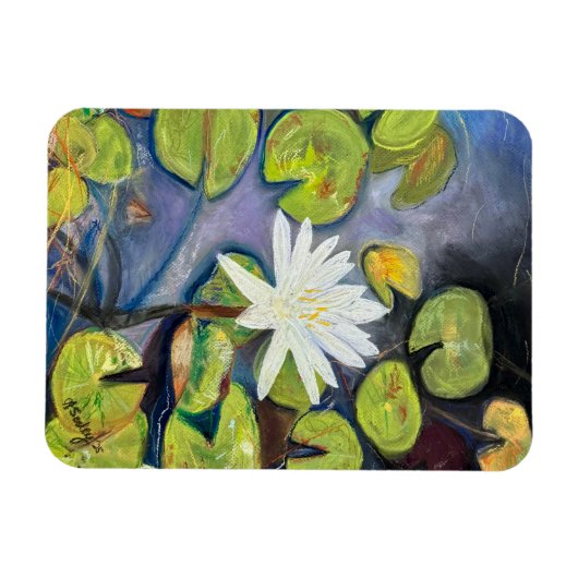 Water Lily in Bloom Magnet (Horizontal)