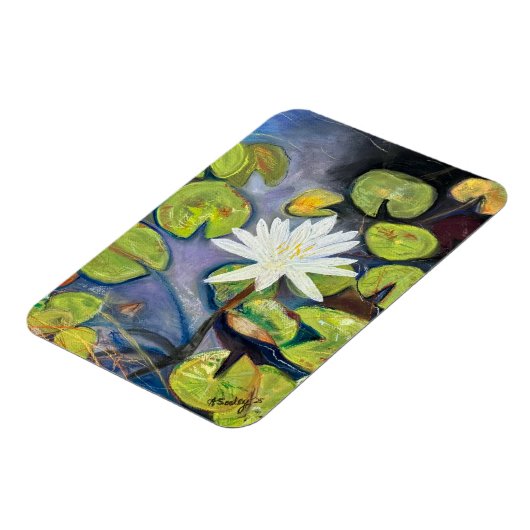 Water Lily in Bloom Magnet (Linke Seite)