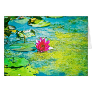 Water Lily Lilypad