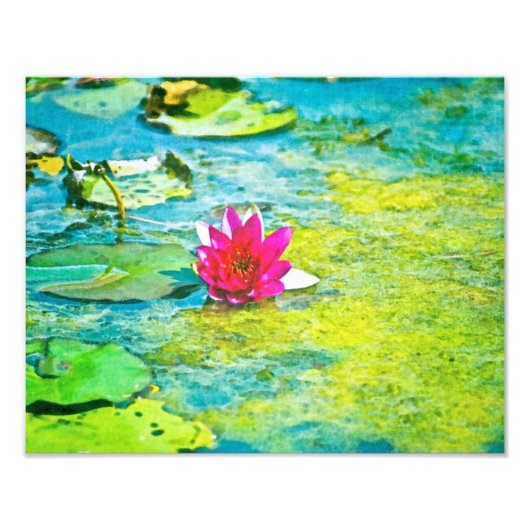 Water Lily Lilypad Fotodruck (Vorne)