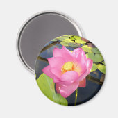 Water Lily Magnet (Vorderseite/Rückseite)