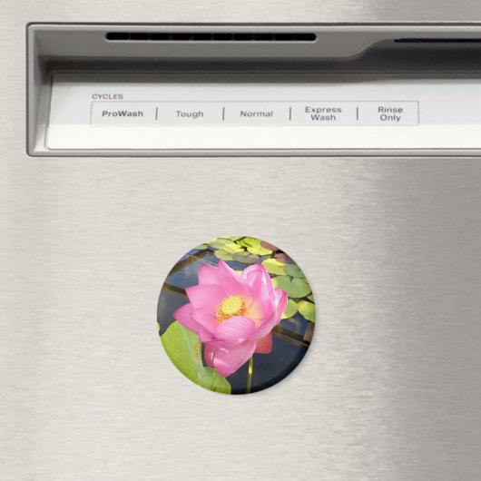 Water Lily Magnet (In Situ (Geschirrspüler))