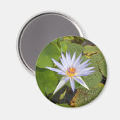 Water Lily Magnet (Vorderseite/Rückseite)