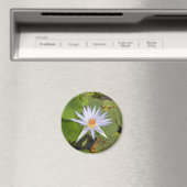 Water Lily Magnet (In Situ (Geschirrspüler))