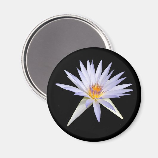 Water Lily Magnet (Vorderseite/Rückseite)
