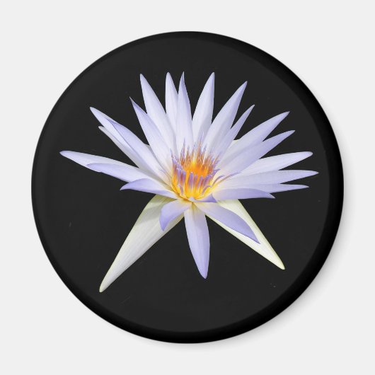 Water Lily Magnet (Vorne)