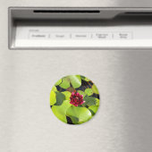 Water Lily Magnet (In Situ (Geschirrspüler))