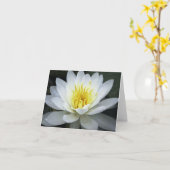 Water Lily Note Card Karte (Gelbe Blume)