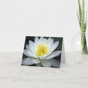Water Lily Note Card Karte