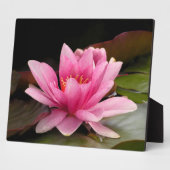 Water Lily Plaque Fotoplatte (Seite)