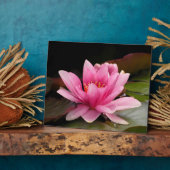 Water Lily Plaque Fotoplatte (Seite)