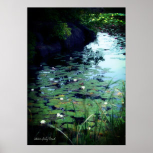 Water Lily Pond: Archive Heavy Weight Paper Poster