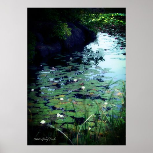 Water Lily Pond: Archive Heavy Weight Paper Poster (Vorne)