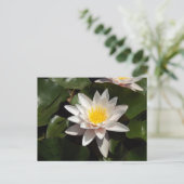 Water Lily Postcard Postkarte (Stehend Vorderseite)