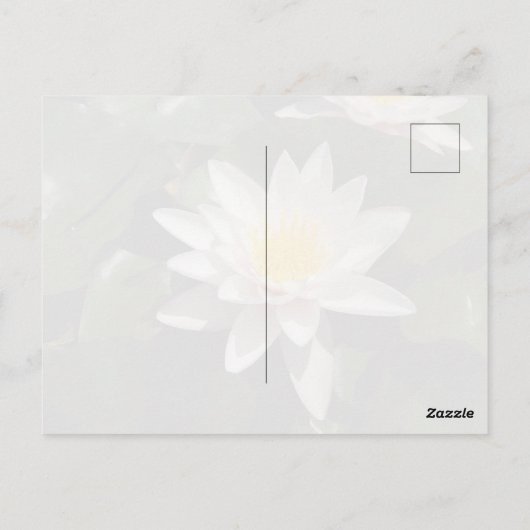 Water Lily Postcard Postkarte (Rückseite)