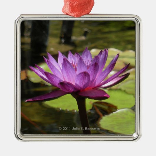 Water Lily Premium Square Ornament (Vorne)