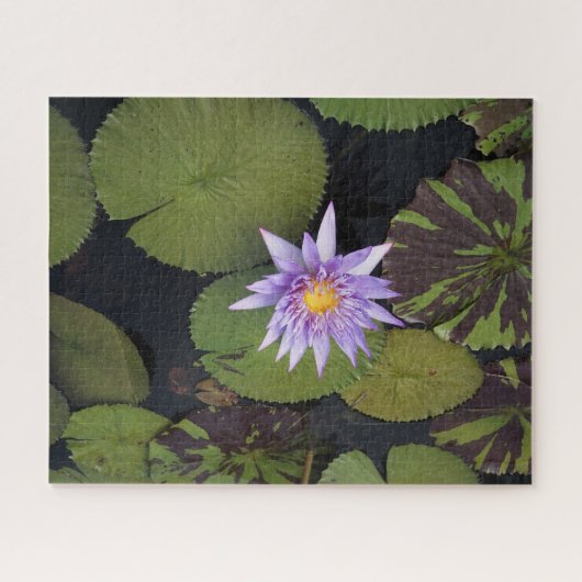 Water Lily Puzzle (Horizontal)