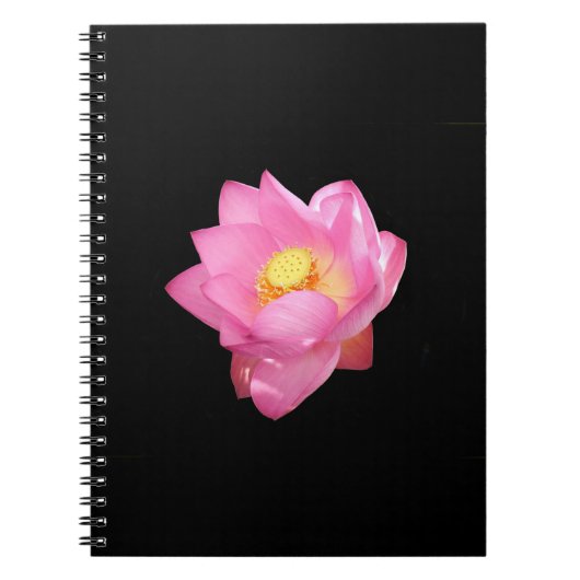 Water Lily Spiral Notebook Notizblock (Vorderseite)