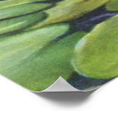 Water Lily von Cargill, 1937 Poster (Ecke)