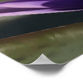 Water Lily von J. Matthew Root Poster (Ecke)