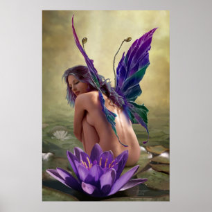Water Lily von J. Matthew Root Poster