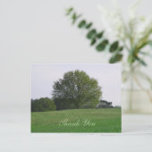 Water Oak Tree Vielen Dank Postcard Postkarte (Stehend Vorderseite)