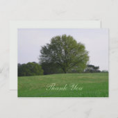 Water Oak Tree Vielen Dank Postcard Postkarte (Vorne/Hinten)