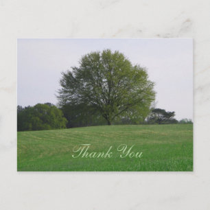 Water Oak Tree Vielen Dank Postcard Postkarte