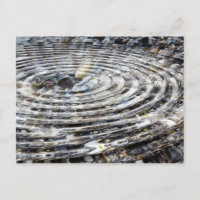 Water Ripple on Pebbles