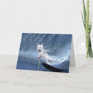 Water Skiing Westie! Karte