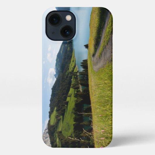 Water | Swiss Alps Footpath iPhone Hülle (Rückseite)