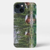 Water | Yoho National Park Canada iPhone Hülle (Rückseite)