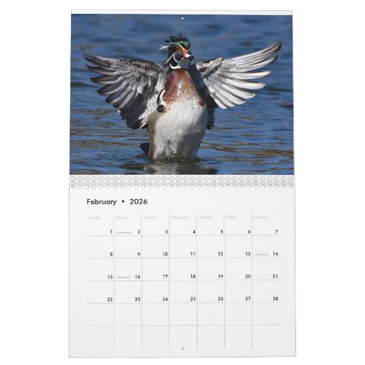 Waterbirds 4 kalender (Feb 2026)