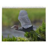 Waterbirds 4 kalender (Titelbild)