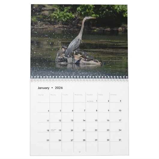 Waterbirds 4 kalender (Jan 2026)