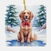 Watercolor American Water Spaniel Frozen Pond Keramikornament (Vorderseite)