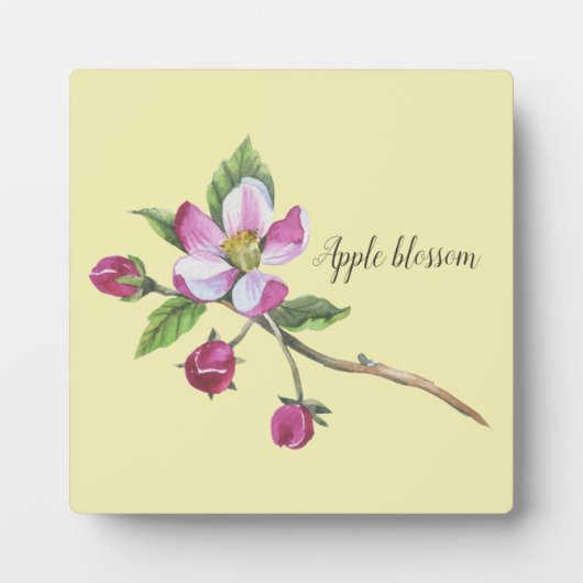 Watercolor Apple Blossom Fotoplatte (Vorderseite)