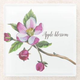 Watercolor Apple Blossom Glasuntersetzer