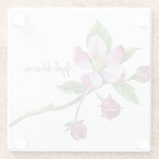 Watercolor Apple Blossom Glasuntersetzer (Rückseite)